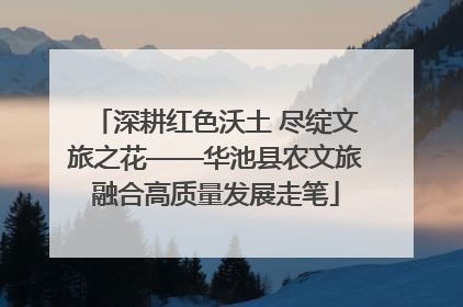 深耕红色沃土 尽绽文旅之花——华池县农文旅融合高质量发展走笔